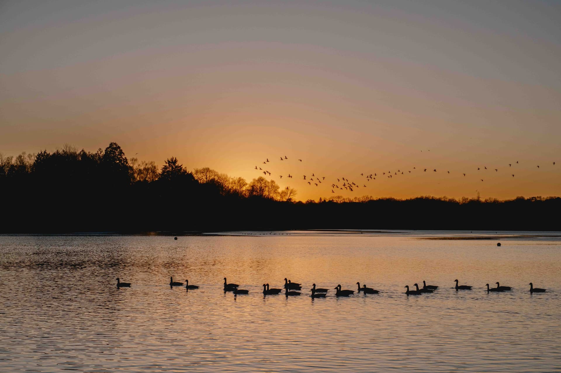 Featured photograph by Jonathan Mallett