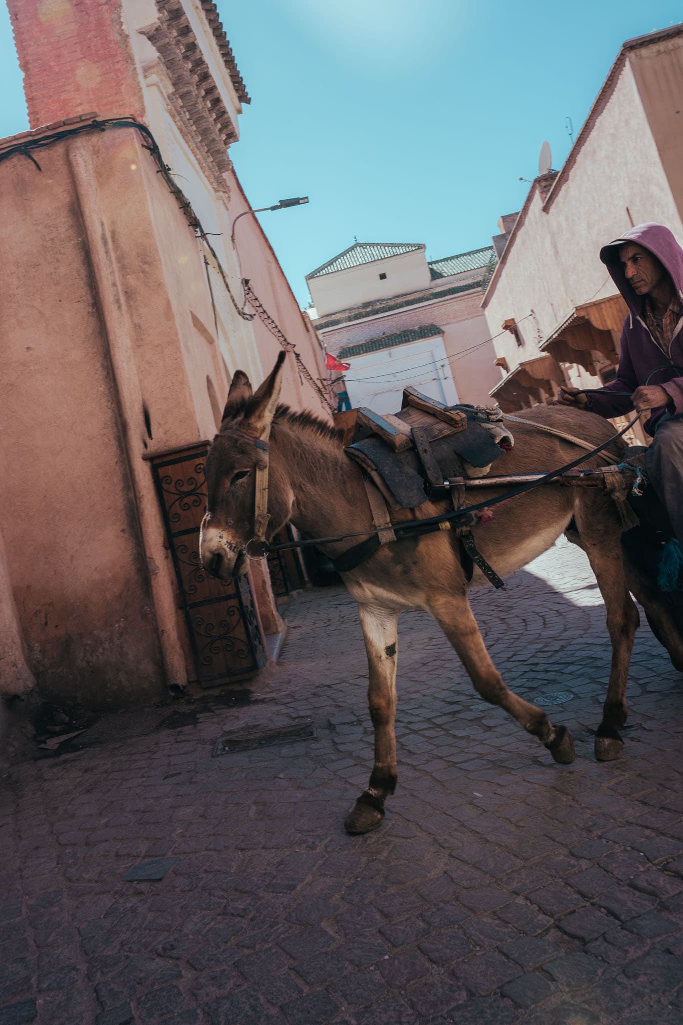 Marrakech travel photography