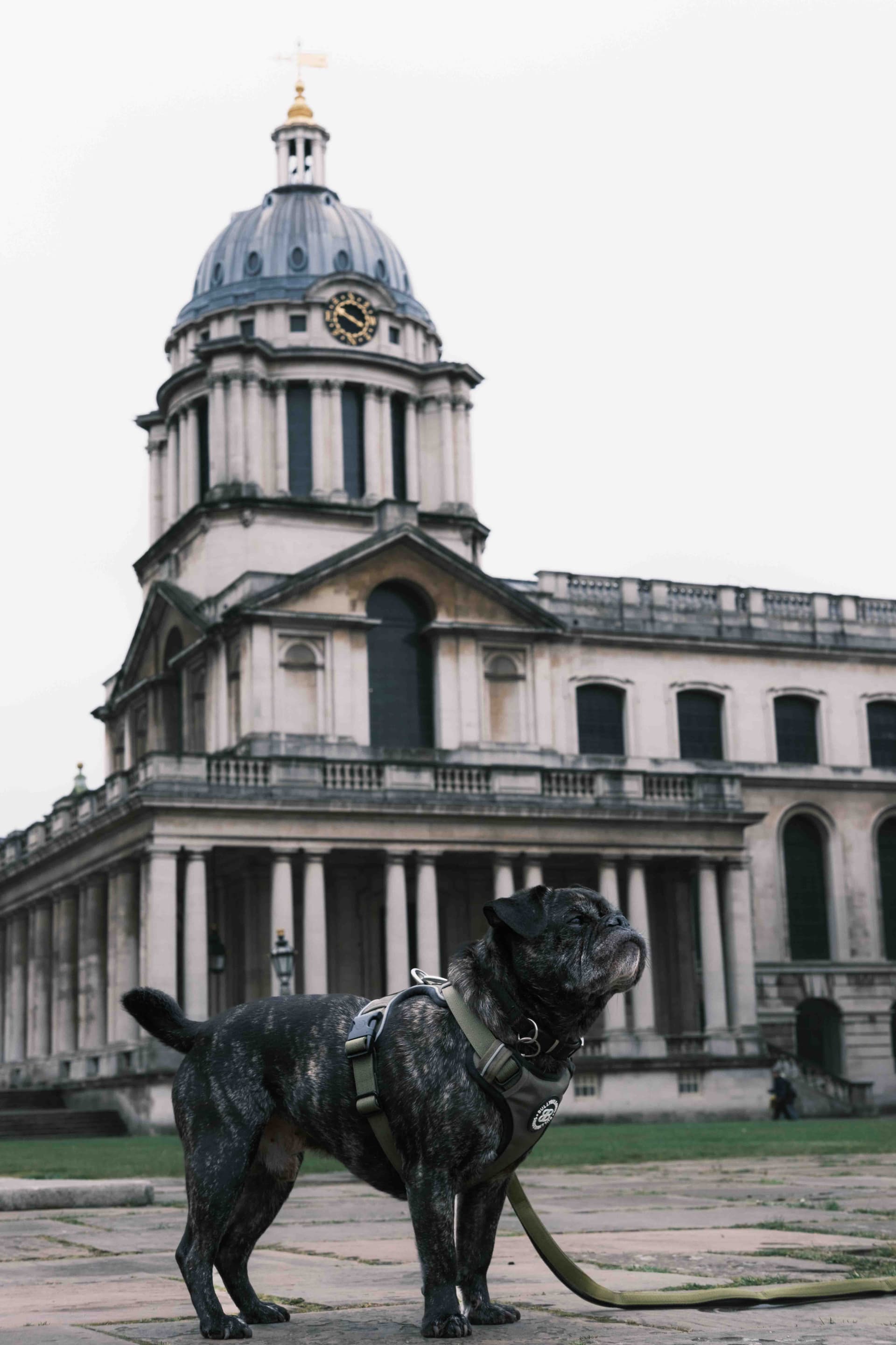 Wildlife photography