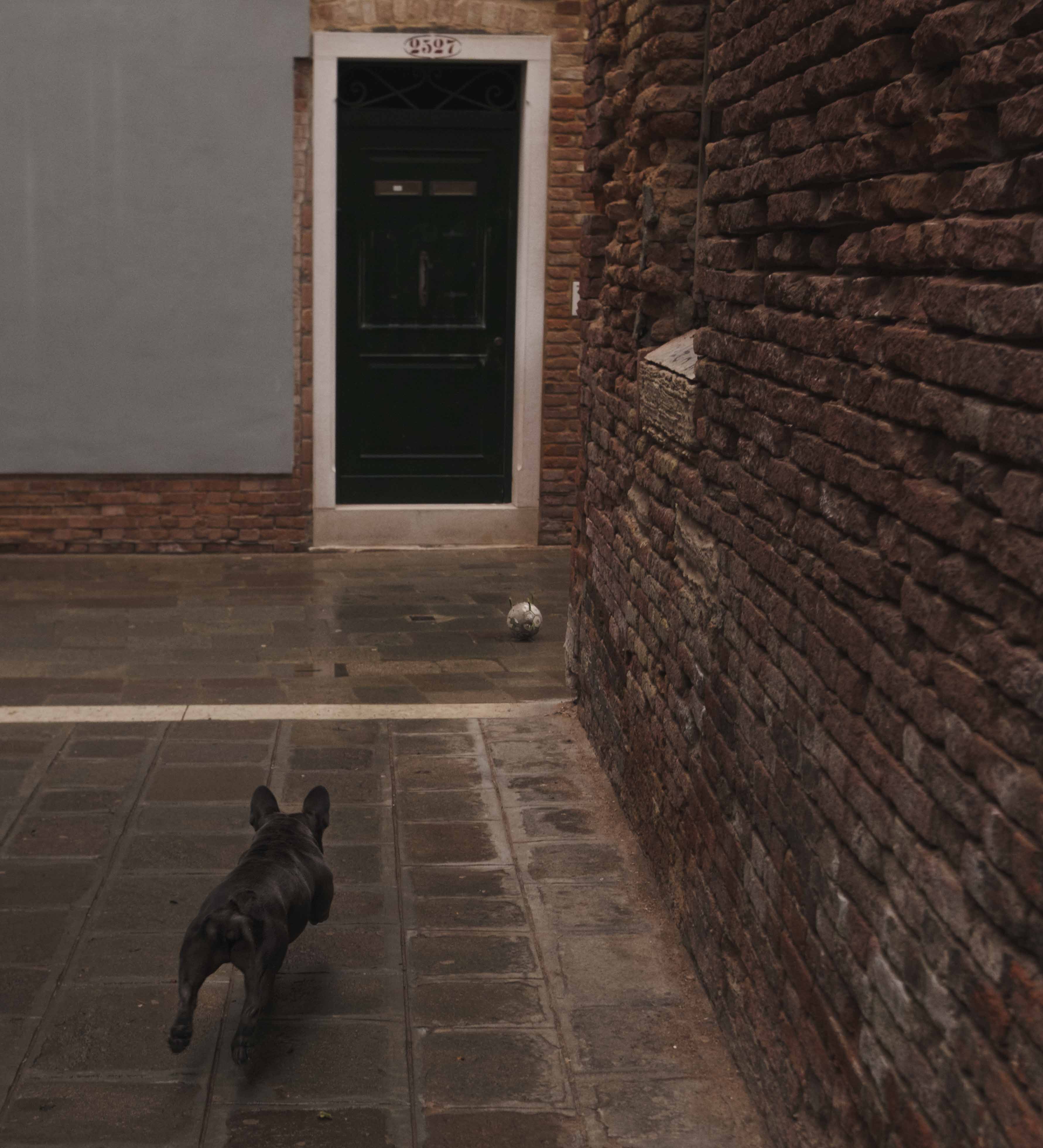 Wildlife photography